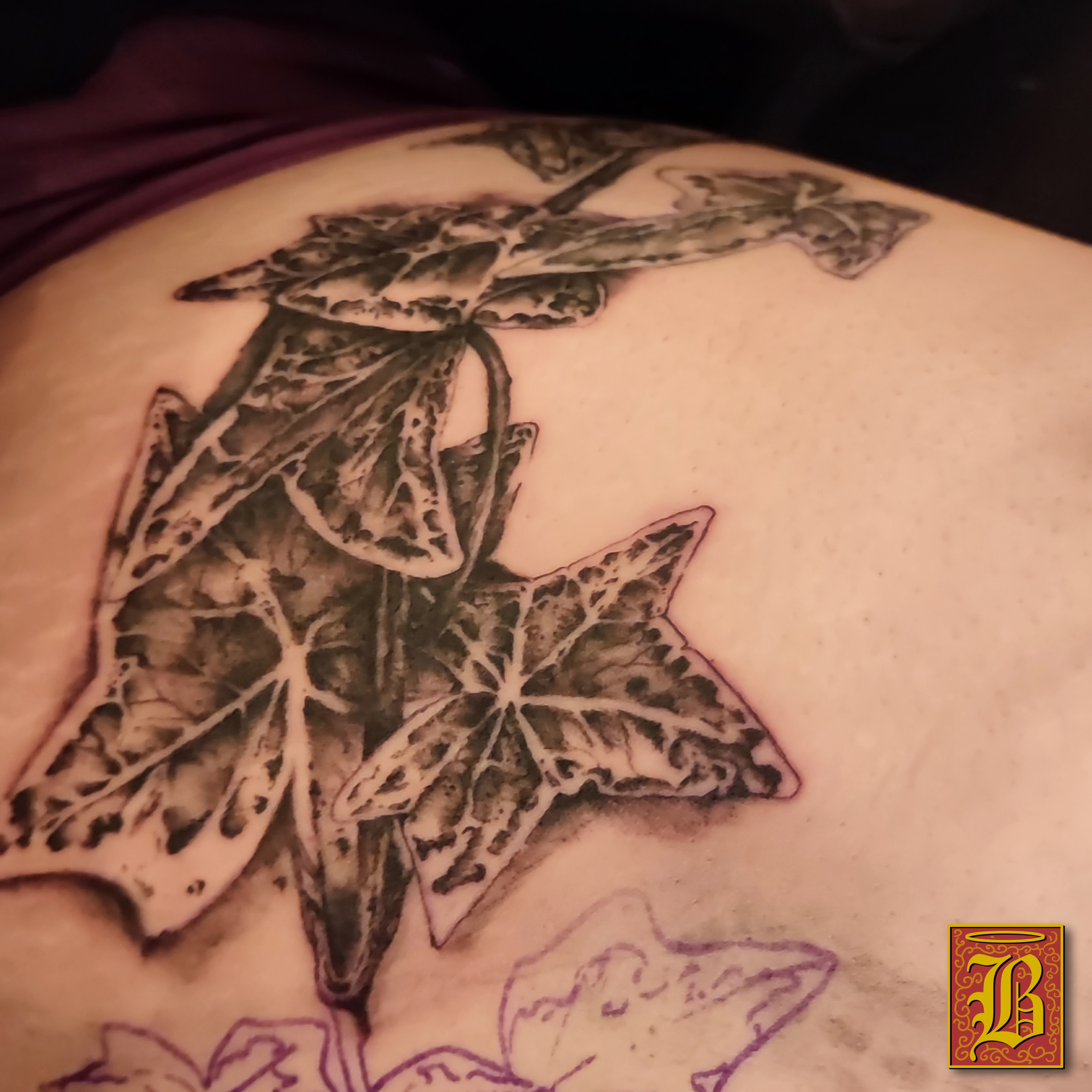 Tatouage de lierre