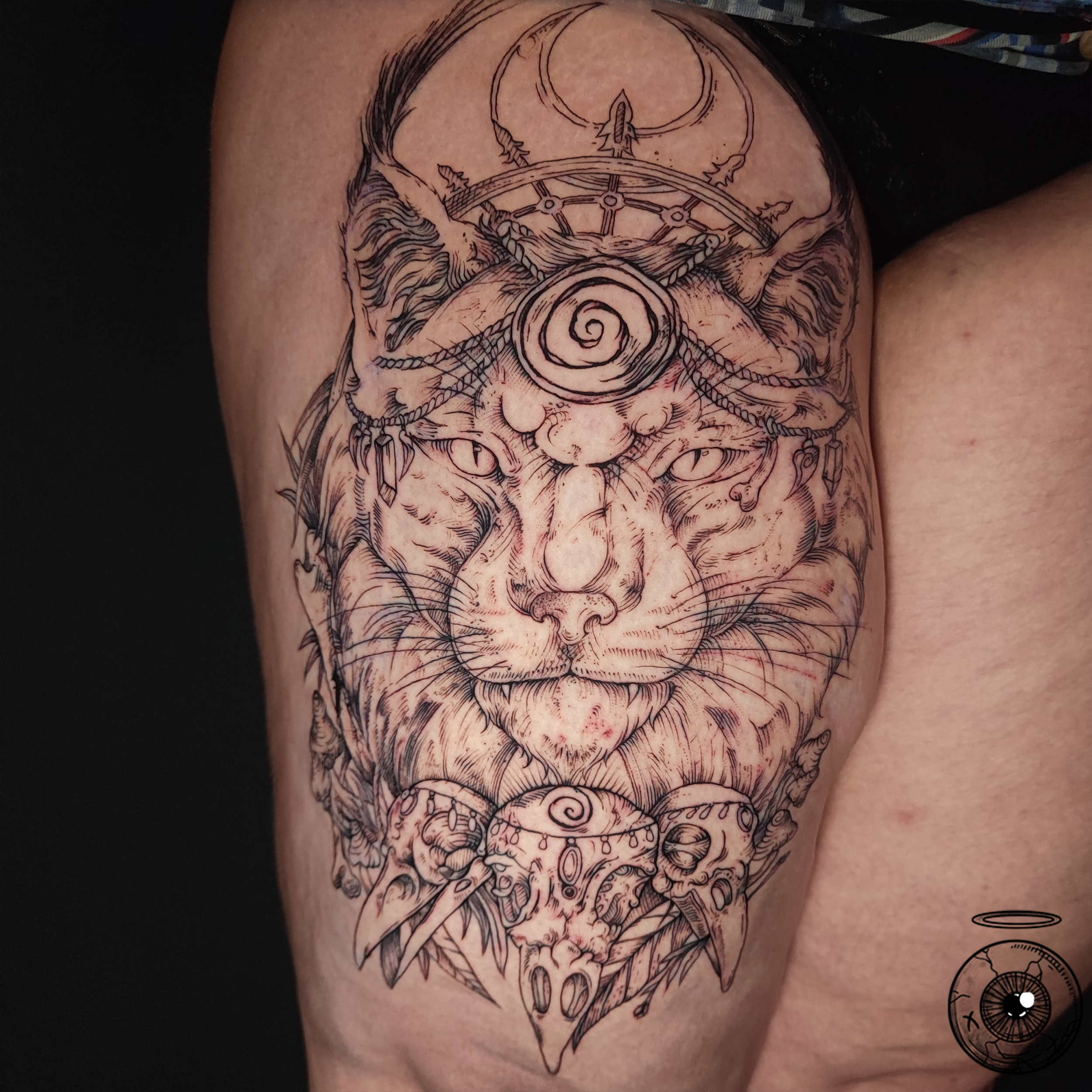 Lynx