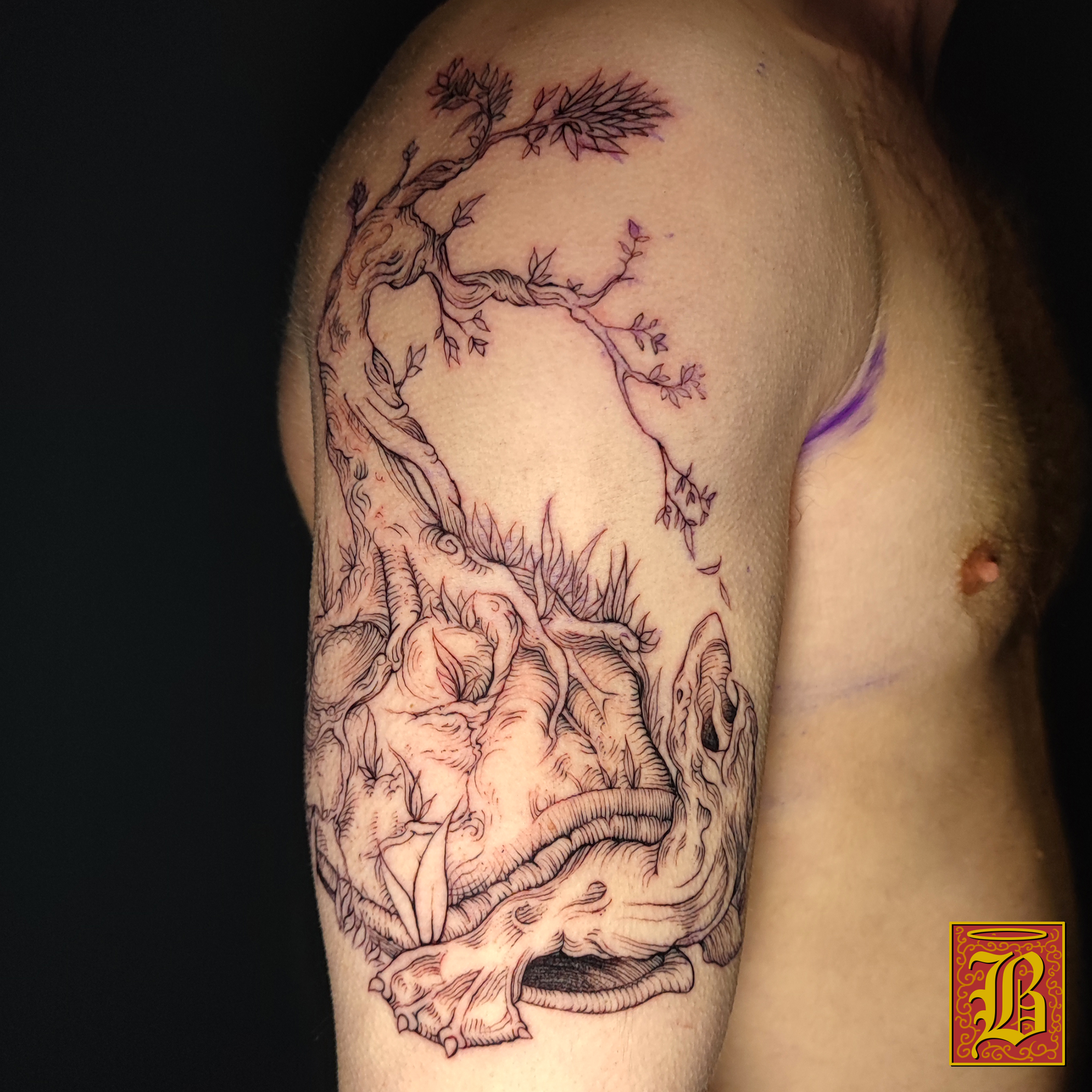 Tatoo tortue et bonsai 